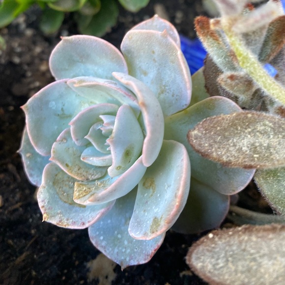 Meet the Posher Kasia - Picture 5 of 16